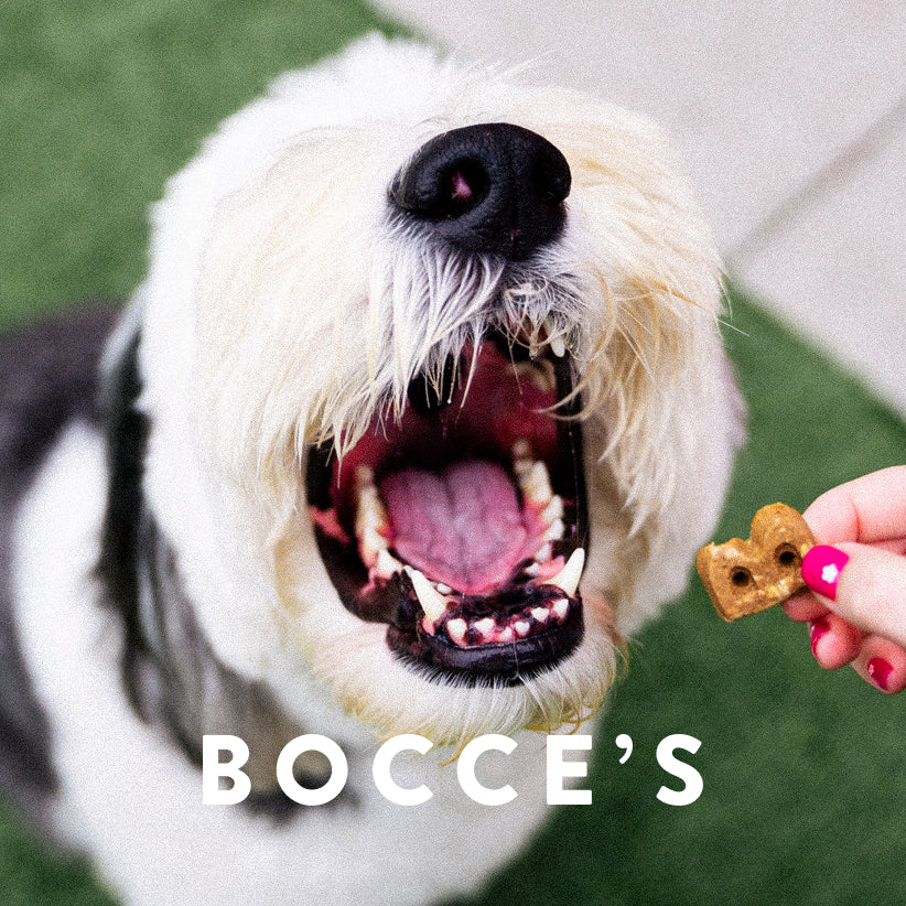 Bocce's