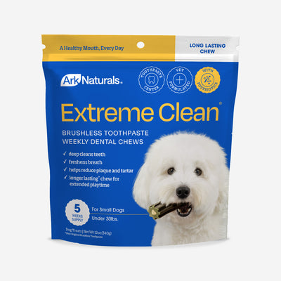 Brushless Toothpaste Extreme Clean