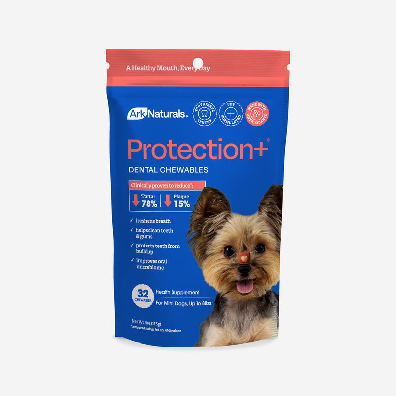 Protection+ Brushless Toothpaste