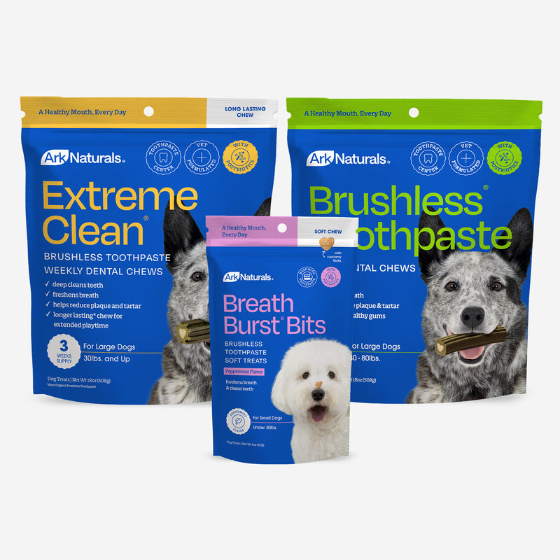 Tough Chewer - Large